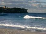 Coogee Bondi