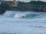 Coogee Bondi