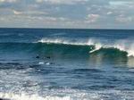 Coogee Bondi