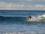 Coogee Bondi