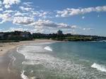 Coogee Bondi