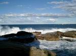 Coogee Bondi