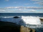 Coogee Bondi