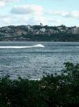 Coogee Bondi