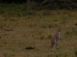 Hunter Valley