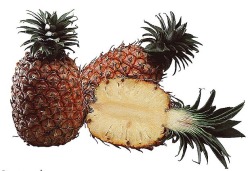 Ananas