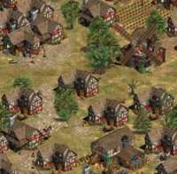 Age of Empires 2 : Age of Kings